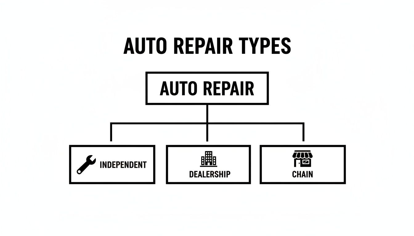 Flowchart illustrating the three main types of auto repair services: independent, dealership, and chain.
