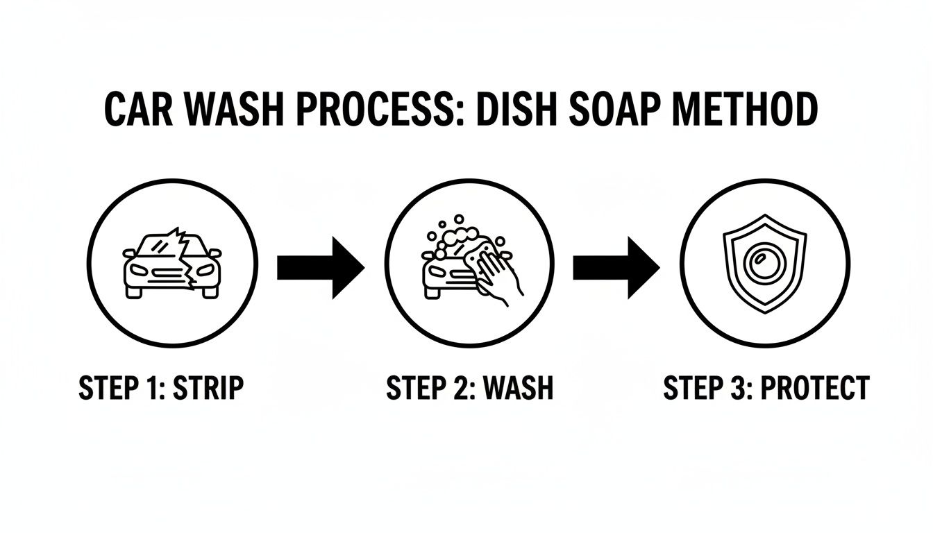 Diagram showing a three-step car wash process using dish soap: strip, wash, and protect.