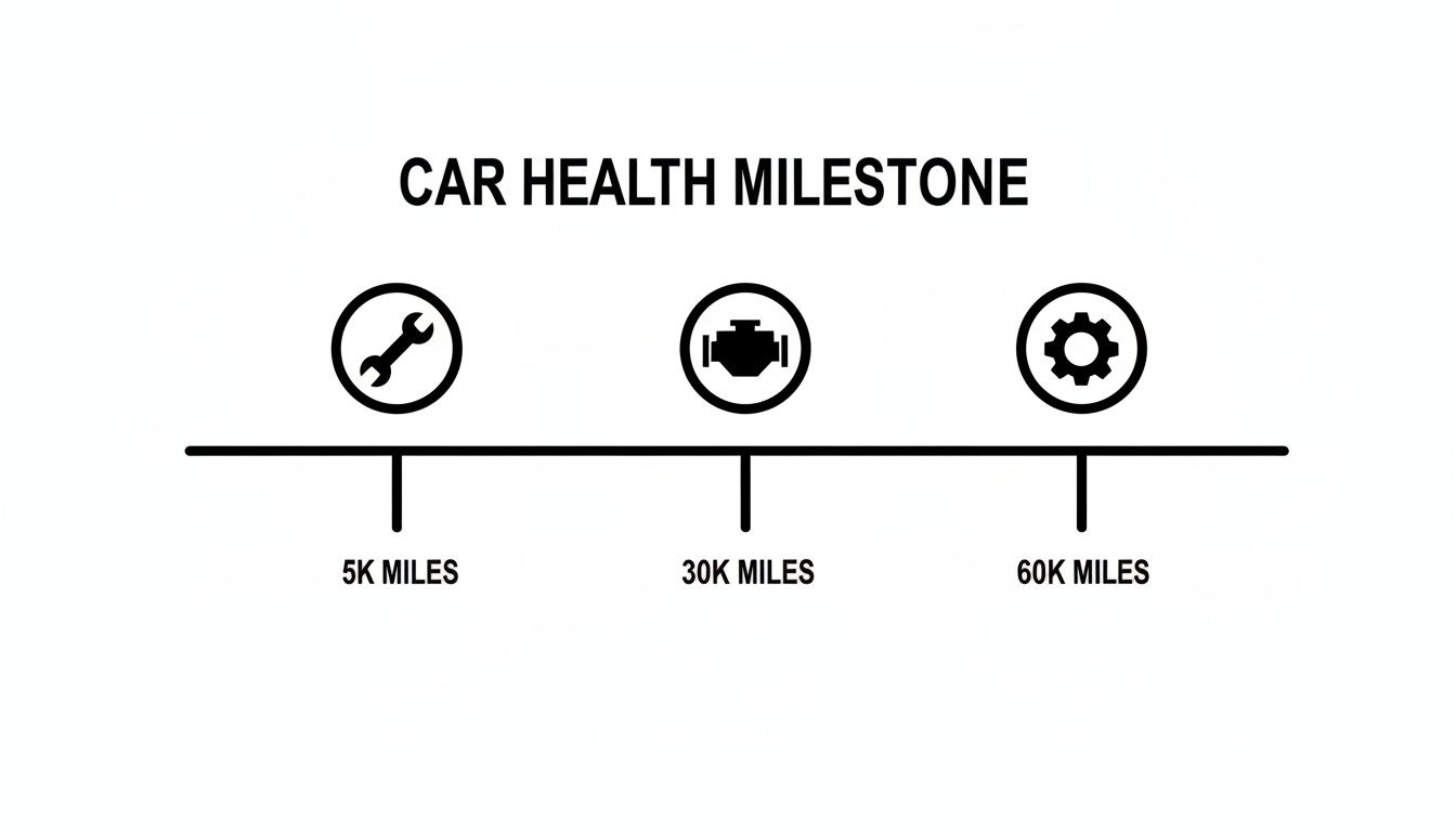 A car health milestone timeline showing maintenance points at 5K, 30K, and 60K miles.